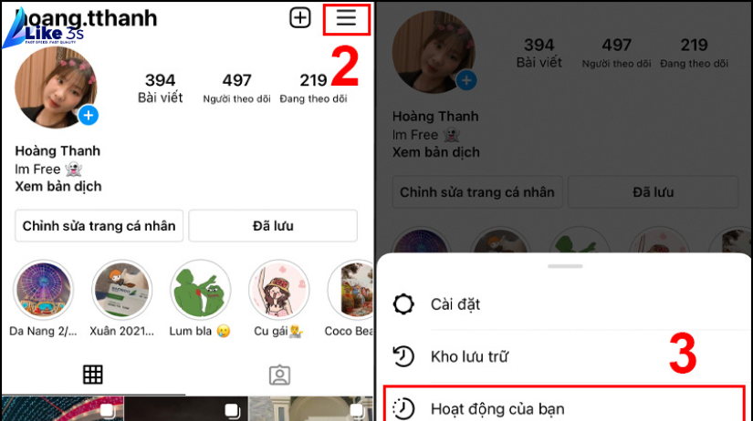 Bio Instagram